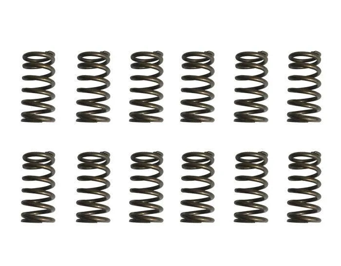 Riva - Sea-Doo 4-TEC Valve Train Upgrade Kit