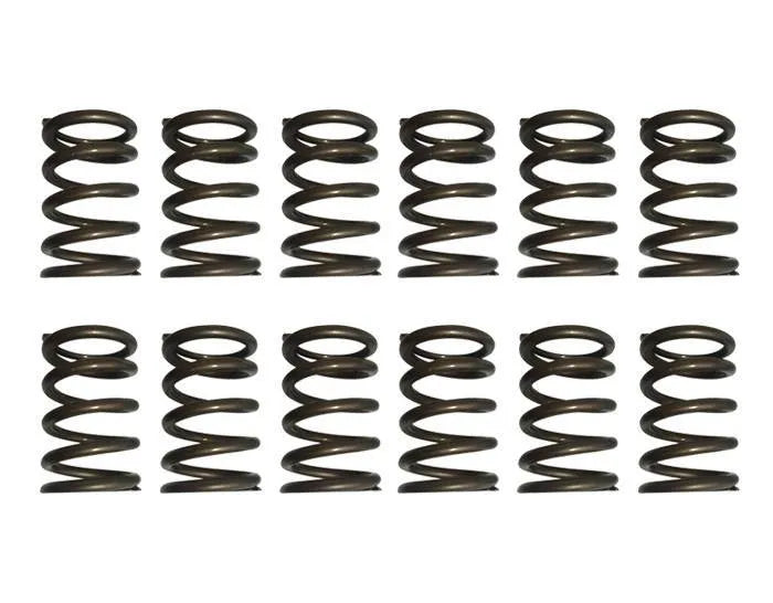 Riva - Sea-Doo 4-TEC Valve Train Upgrade Kit