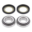 All Balls Racing Steering Head Bearing Kit – 22-1032