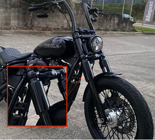 Street bob online cover